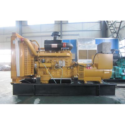 300kw上柴正新柴油發(fā)電機(jī)組-上柴正新6缸柴油機(jī)G128ZLD11柴油發(fā)電機(jī)組,缸徑/行程：135/150mm,柴油發(fā)電機(jī)組水冷發(fā)動機(jī)功率306KW,柴油發(fā)電機(jī)組配套馬拉松斯坦福發(fā)電機(jī)。廠價直銷歡迎選購：13773399855。